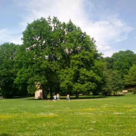 In Rum i privatbostad Kaiserslautern