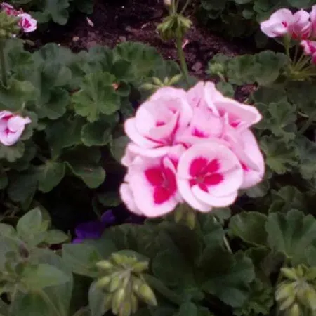 In Rum i privatbostad